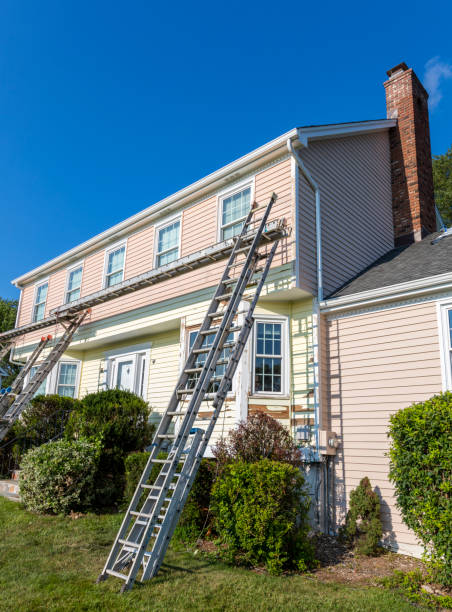 Affordable Siding Repair and Maintenance Services in Springfield, NJ